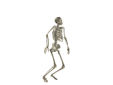 huepfendes_gerippe_003.gif