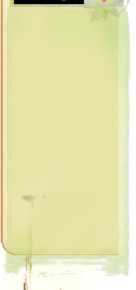 index004004.jpg