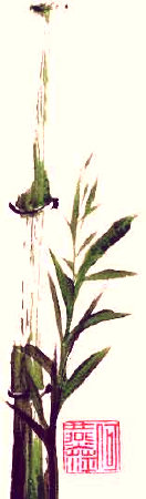 index004012.jpg