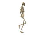 marschierendes_gerippe_0001.gif
